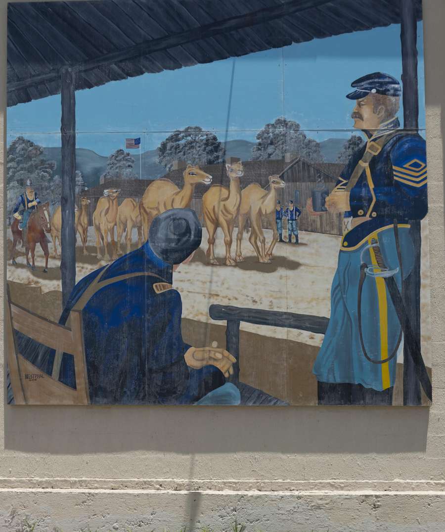 Mural depicting the surprising arrival of camels at the U.S. Army's Camp Verde, Kerr County, Texas